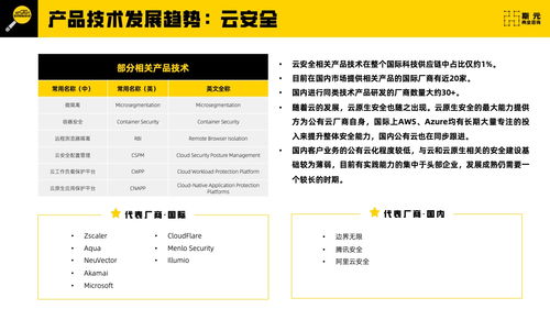 斯元商業(yè)咨詢(xún)2023年網(wǎng)絡(luò)安全科技供應(yīng)鏈報(bào)告技術(shù)咨詢(xún)