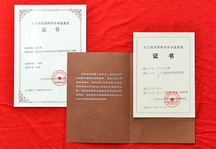 技術(shù)咨詢(xún)與社會(huì)服務(wù) 融合與賦能