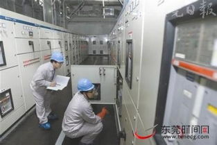 探訪東莞時(shí)力科技電子廠 現(xiàn)代辦公環(huán)境與科技中介服務(wù)的融合